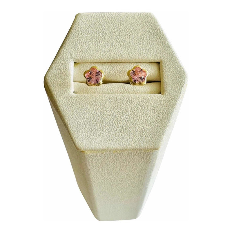 Broqueles Flor Zirconias Rosasoro 10 Kilates + Obsequio