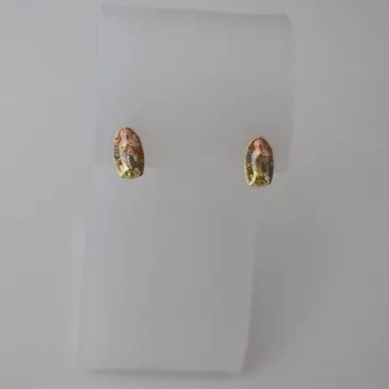 Juego Collar Medalla Guadalupe + Aretes 3 Oros 10 K + Regalo