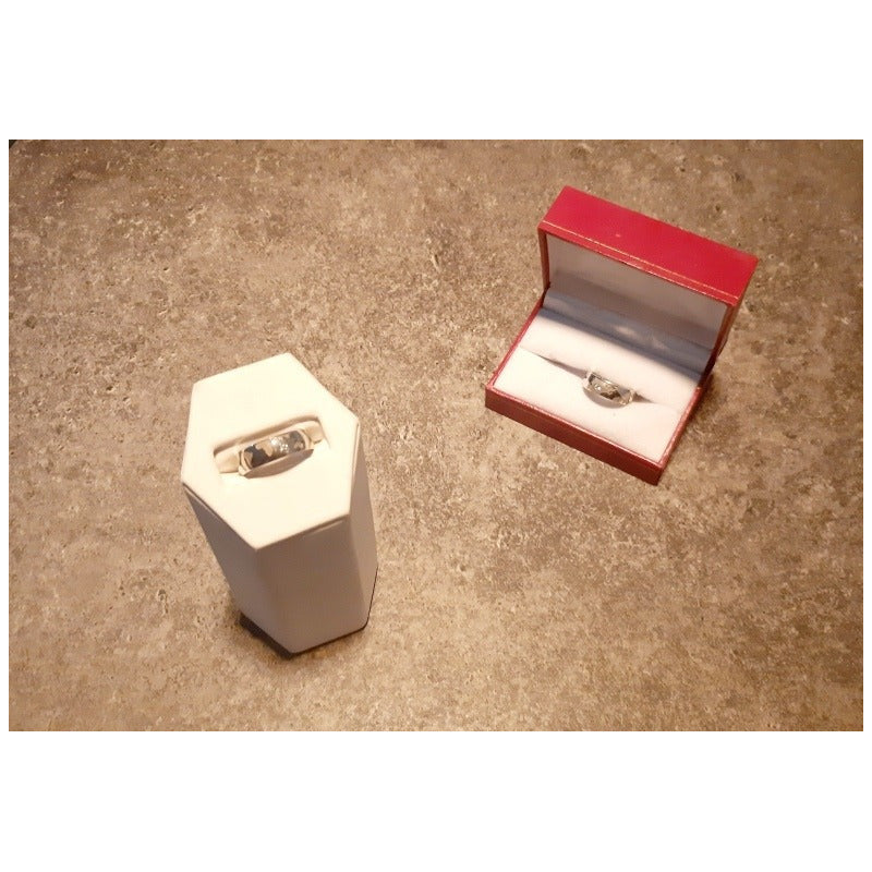 Argollas Matrimoniales Mapamundi Plata .999