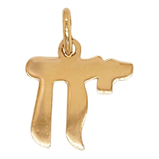 Kit Cadena Con Dije Jai Oro 14 K + Obsequio + Envío