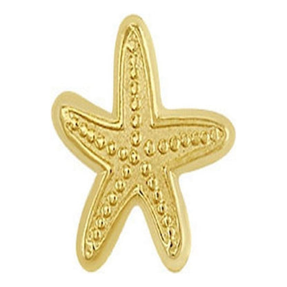Broquel Estrella De Mar En Oro De 10 K + Obsequio + Envío