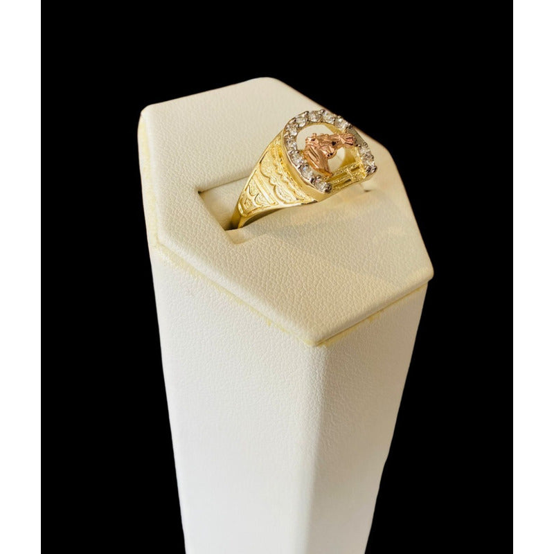Anillo Caballero Herradura Con Caballo Oro 10 K